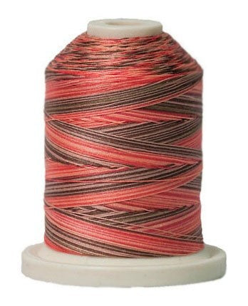 Signature Variegated Thread - 700 Yards - Cotton - 40 Weight - 250 Canyon View - Black Rabbit Fabric Inc.