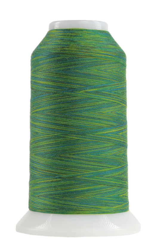 Omni Variegated Polyester Thread 40wt 2000yd Rolling Hills