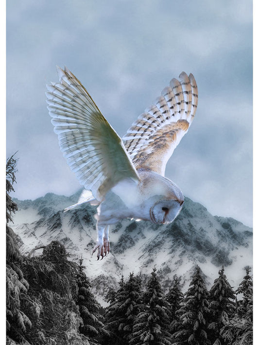 Panel: Call of the Wild Owl 31" x 44"
