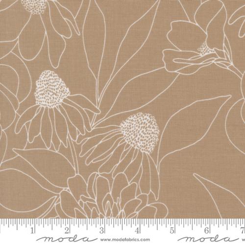 Wideback - Botany - Earth