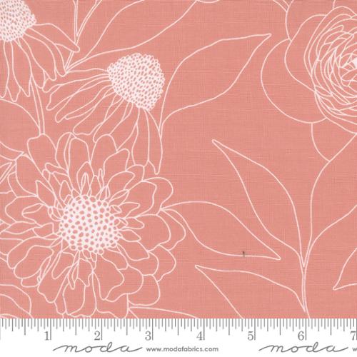 Wideback - Botany - Camellia