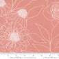 Wideback - Botany - Camellia