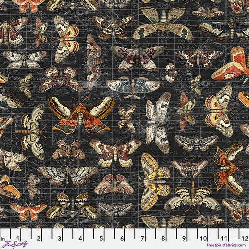 Tim Holtz Palette Seasonal - Halloween Moth Study