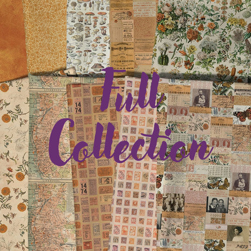 Palette Orange Collection