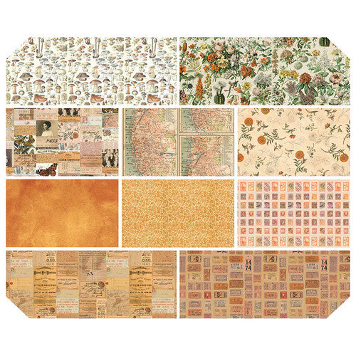 Palette Orange Collection