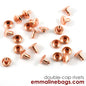 Double Cap RIVETS